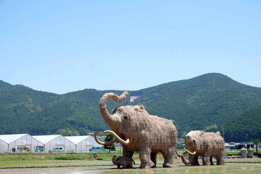 サムネイル