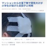 レス2番のサムネイル画像