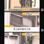 レス1番のサムネイル画像