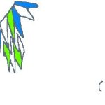 レス8番の画像1