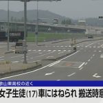 レス1番のリンク先のサムネイル画像