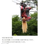 レス14番の画像1