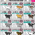 レス2番の画像1