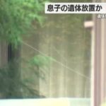 レス1番のリンク先のサムネイル画像