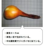 レス1番のリンク先のサムネイル画像