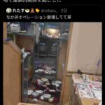 レス1番の画像1