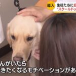 レス1番の画像5
