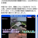 レス1番の画像1
