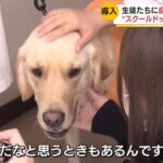 レス1番の画像4
