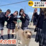 レス1番の画像7