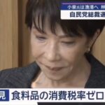 レス2番の画像4