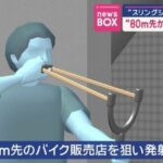 レス2番の画像2