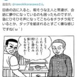 レス13番の画像1