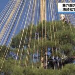 レス1番のリンク先のサムネイル画像