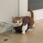 レス14番の画像2