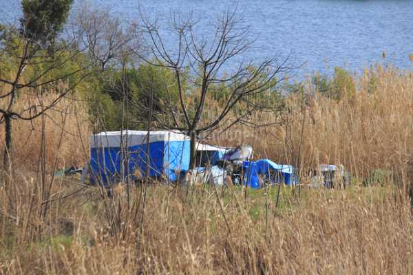 記事サムネイル