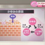 レス1番のリンク先のサムネイル画像