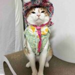 レス14番の画像4