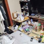 レス1番のリンク先のサムネイル画像