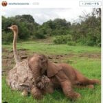 レス1番の画像7