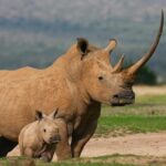 レス1番の画像4