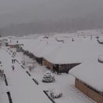 レス23番の画像1