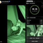 レス3番の画像1