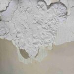 レス14番の画像1