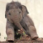 レス1番の画像12