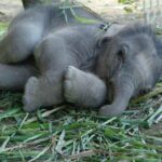 レス1番の画像6