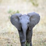 レス1番の画像5