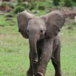 レス1番の画像10