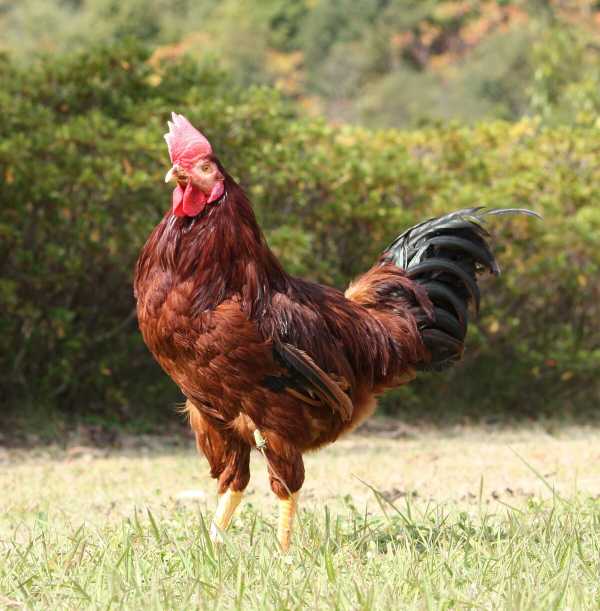 記事サムネイル