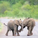 レス1番の画像9