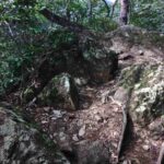 レス4番の画像2