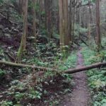 レス3番の画像2