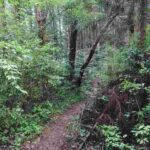 レス3番の画像3