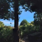 レス2番の画像6