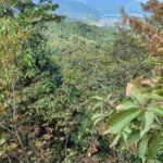 レス4番の画像7