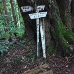 レス3番の画像6