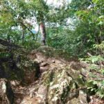 レス4番の画像3