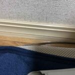 レス8番の画像1