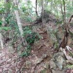 レス4番の画像1