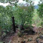 レス4番の画像9