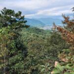 レス4番の画像6