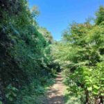 レス2番の画像4