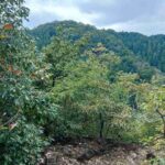 レス4番の画像8