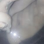 レス28番の画像1