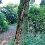 レス2番の画像5