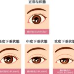 レス23番の画像1